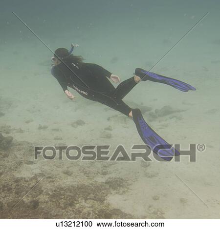 Scuba diver underwater, Puerto Egas, Santiago Island, Galapagos Islands, Ecuador View Large Photo Image Stock Image - Scuba diver underwater, Puerto Egas, Santiago Island, Galapagos Islands, Ecuador. Fotosearch