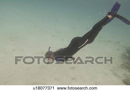 Scuba diver underwater, Puerto Egas, Santiago Island, Galapagos Islands, Ecuador View Large Photo Image Stock Image - Scuba diver underwater, Puerto Egas, Santiago Island, Galapagos Islands, Ecuador. Fotosearch