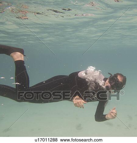 Scuba diver underwater, Puerto Egas, Santiago Island, Galapagos Islands, Ecuador View Large Photo Image Stock Photo - Scuba diver underwater, Puerto Egas, Santiago Island, Galapagos Islands, Ecuador. Fotosearch