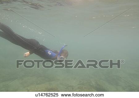 Scuba diver underwater, Puerto Egas, Santiago Island, Galapagos Islands, Ecuador View Large Photo Image Stock Photography - Scuba diver underwater, Puerto Egas, Santiago Island, Galapagos Islands, Ecuador. Fotosearch