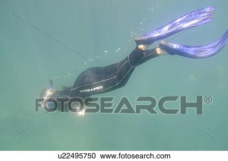 Stock Image - Scuba diver underwater, Tagus Cove, Isabela Island, Galapagos Islands, Ecuador. Fotosearch