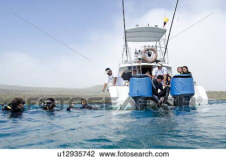 Scuba divers in the Pacific Ocean, San Cristobal Island, Galapagos Islands, Ecuador View Large Photo Image Stock Image - Scuba divers in the Pacific Ocean, San Cristobal Island, Galapagos Islands, Ecuador. Fotosearch