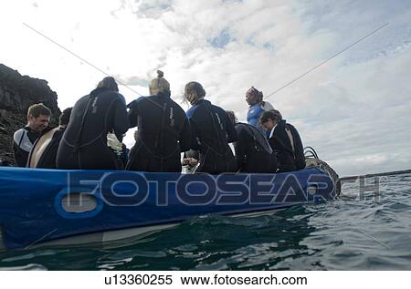Scuba divers sitting in a Panga boat in the Pacific Ocean, Bartolome Island, Galapagos Islands, Ecuador View Large Photo Image Stock Photography - Scuba divers sitting in a Panga boat in the Pacific Ocean, Bartolome Island, Galapagos Islands, Ecuador. Fotosearch