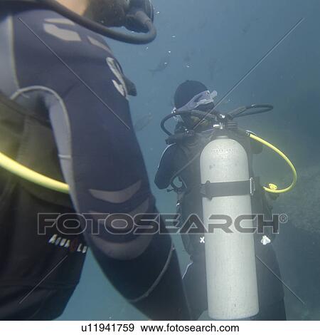 Stock Photo - Scuba divers swimming underwater, Santa Cruz Island, Galapagos Islands, Ecuador. Fotosearch