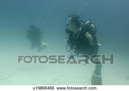 Stock Photograph - Scuba divers swimming underwater, Santa Cruz Island, Galapagos Islands, Ecuador. Fotosearch