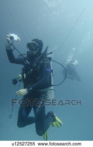 Stock Photography - Scuba divers underwater photographing, San Cristobal Island, Galapagos Islands, Ecuador. Fotosearch