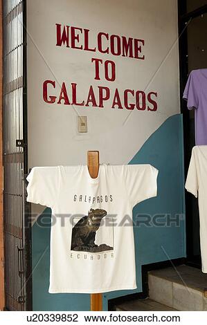 Souvenir t-shirt, Puerto Baquerizo Moreno, San Cristobal Island, Galapagos Islands, Ecuador View Large Photo Image Stock Image - Souvenir t-shirt, Puerto Baquerizo Moreno, San Cristobal Island, Galapagos Islands, Ecuador. Fotosearch