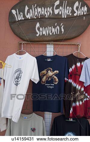 Souvenir t-shirts at a market stall, Puerto Baquerizo Moreno, San Cristobal Island, Galapagos Islands, Ecuador View Large Photo Image Stock Image - Souvenir t-shirts at a market stall, Puerto Baquerizo Moreno, San Cristobal Island, Galapagos Islands, Ecuador. Fotosearch