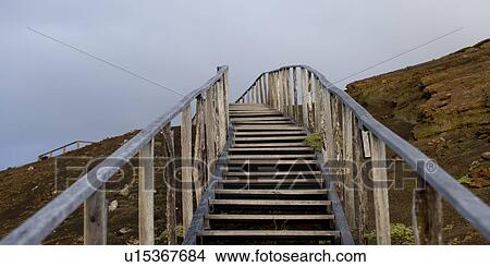Picture - Steps walkway, Bartolome Island, Galapagos Islands, Ecuador. Fotosearch