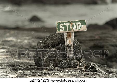 Stock Image - Stop sign marks the end of the line for tourists, Punta Espinoza, Fernandina Island, Galapagos Islands, Ecuador. Fotosearch