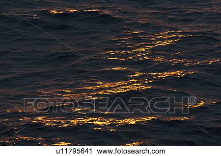 Sunlight on water surface at sunset, Isabela Island, Galapagos Islands, Ecuador View Large Photo Image Stock Image - Sunlight on water surface at sunset, Isabela Island, Galapagos Islands, Ecuador. Fotosearch