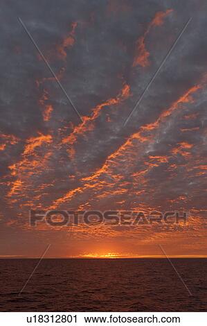 Stock Image - Sunset over the Pacific Ocean, Isabela Island, Galapagos Islands, Ecuador. Fotosearch