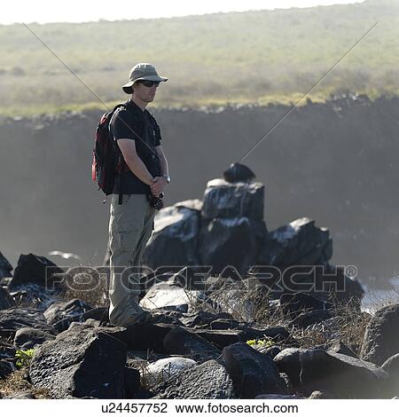 Tourist standing at a rocky coast, Punta Suarez, Espanola Island, Galapagos Islands, Ecuador View Large Photo Image Stock Image - Tourist standing at a rocky coast, Punta Suarez, Espanola Island, Galapagos Islands, Ecuador. Fotosearch