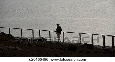 Tourist walking on a volcanic area, Bartolome island, Galapagos Islands, Ecuador View Large Photo Image Stock Photograph - Tourist walking on a volcanic area, Bartolome island, Galapagos Islands, Ecuador. Fotosearch