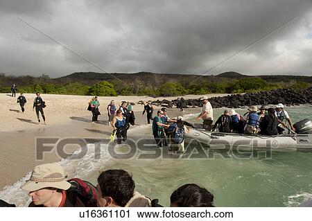 Stock Image - Tourists boarding into a panga, Playa Ochoa, San Cristobal Island, Galapagos Islands, Ecuador. Fotosearch