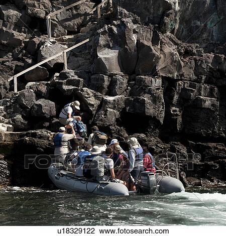 Tourists deboarding from a panga, Prince Philip's Steps, Tower Island, Darwin Bay, Genovesa Island, Galapagos Islands, Ecuador View Large Photo Image Stock Image - Tourists deboarding from a panga, Prince Philip's Steps, Tower Island, Darwin Bay, Genovesa Island, Galapagos Islands, Ecuador. Fotosearch