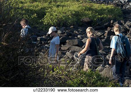 Stock Image - Tourists exploring in forest, Punta Suarez, Espanola Island, Galapagos Islands, Ecuador. Fotosearch