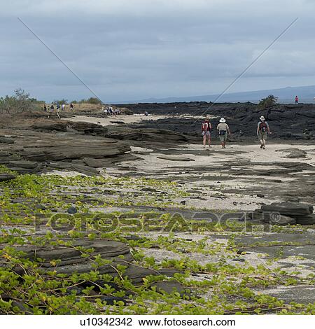 Stock Image - Tourists near a volcano, Puerto Egas, Santiago Island, Galapagos Islands, Ecuador. Fotosearch