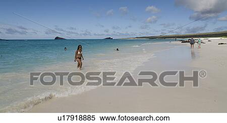 Stock Photography - Tourists on the beach, Gardner Bay, Espanola Island, Galapagos Islands, Ecuador. Fotosearch