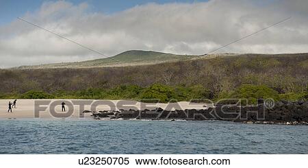 Stock Photography - Tourists on the beach, Playa Ochoa, San Cristobal Island, Galapagos Islands, Ecuador. Fotosearch