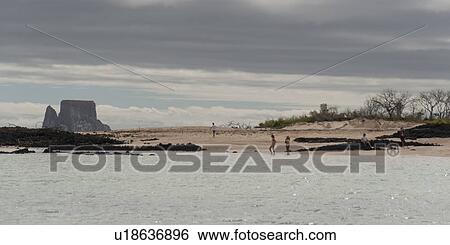 Tourists on the beach with Kicker Rock in the background, San Cristobal Island, Galapagos Islands, Ecuador View Large Photo Image Stock Photograph - Tourists on the beach with Kicker Rock in the background, San Cristobal Island, Galapagos Islands, Ecuador. Fotosearch