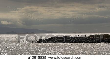 Stock Photography - Tourists on the coast, North Seymour Island, Galapagos Islands, Ecuador. Fotosearch