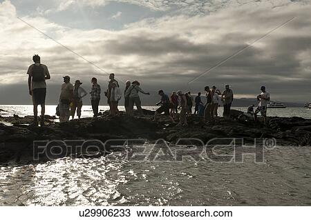Stock Image - Tourists on the coast, Punta Espinoza, Fernandina Island, Galapagos Islands, Ecuador. Fotosearch
