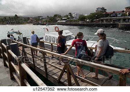 Tourists walking on a boardwalk, Puerto Baquerizo Moreno, San Cristobal Island, Galapagos Islands, Ecuador View Large Photo Image Stock Image - Tourists walking on a boardwalk, Puerto Baquerizo Moreno, San Cristobal Island, Galapagos Islands, Ecuador. Fotosearch