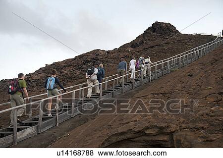 Stock Photo - Tourists walking on a stepped walkway on a volcanic landscape, Bartolome island, Galapagos Islands, Ecuador. Fotosearch