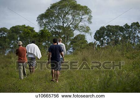 Stock Photograph - Tourists walking on a trail, Santa Cruz Island, Galapagos Islands, Ecuador. Fotosearch