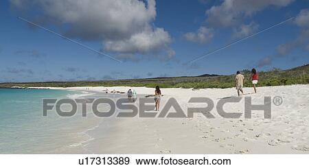 Tourists walking on the beach, Gardner Bay, Espanola Island, Galapagos Islands, Ecuador View Large Photo Image Stock Photo - Tourists walking on the beach, Gardner Bay, Espanola Island, Galapagos Islands, Ecuador. Fotosearch