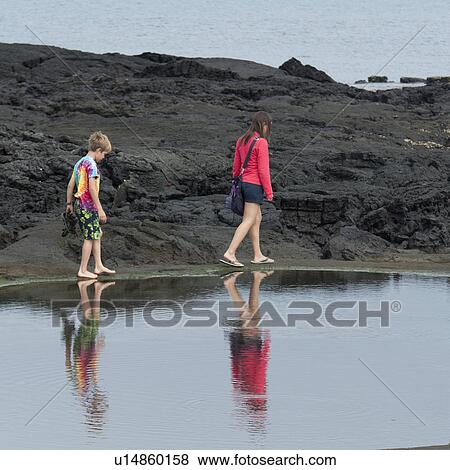 Tourists walking on the beach, Puerto Egas, Santiago Island, Galapagos Islands, Ecuador View Large Photo Image Stock Photo - Tourists walking on the beach, Puerto Egas, Santiago Island, Galapagos Islands, Ecuador. Fotosearch