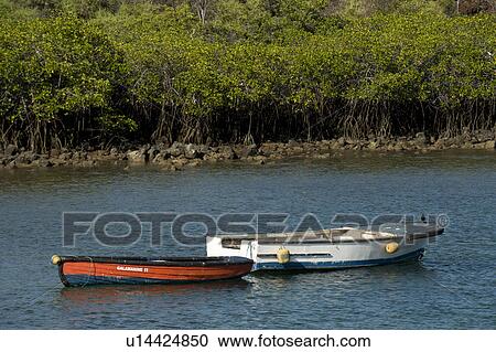 Stock Image - Two boats in the sea, Santa Cruz Island, Galapagos Islands, Ecuador. Fotosearch