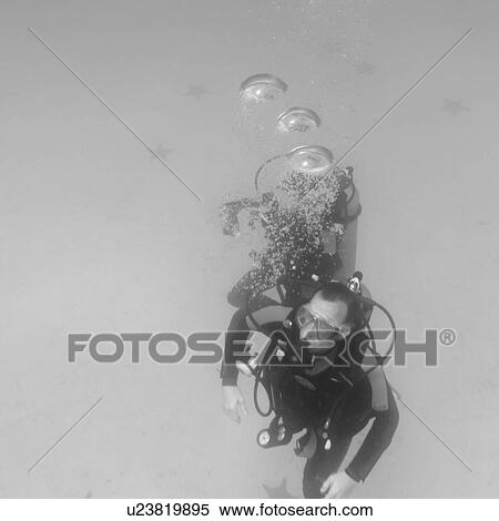 Stock Photography - Two people scuba diving underwater, Santa Cruz Island, Galapagos Islands, Ecuador. Fotosearch