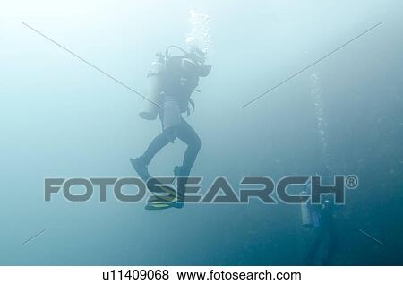 Two women swimming underwater, San Cristobal Island, Galapagos Islands, Ecuador View Large Photo Image Stock Photo - Two women swimming underwater, San Cristobal Island, Galapagos Islands, Ecuador. Fotosearch