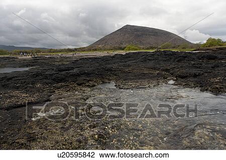 Stock Image - Volcanic rocks on the coast, Puerto Egas, Santiago Island, Galapagos Islands, Ecuador. Fotosearch