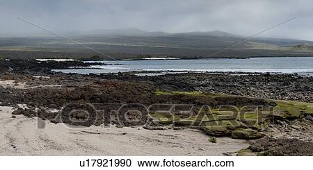 Volcanic rocks on the coast, San Cristobal Island, Galapagos Islands, Ecuador View Large Photo Image Stock Image - Volcanic rocks on the coast, San Cristobal Island, Galapagos Islands, Ecuador. Fotosearch
