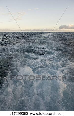Stock Image - Wake formed by the moving ship in the ocean, Galapagos Islands, Ecuador. Fotosearch