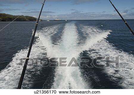 Wake formed by the moving ship in the ocean, Galapagos Islands, Ecuador View Large Photo Image Stock Image - Wake formed by the moving ship in the ocean, Galapagos Islands, Ecuador. Fotosearch