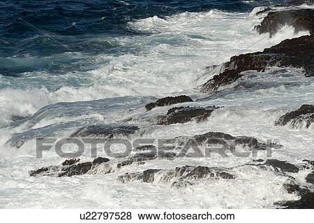 Stock Photo - Waves breaking on the coast, Punta Suarez, Espanola Island, Galapagos Islands, Ecuador. Fotosearch