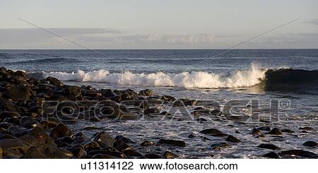 Waves hitting the coast, Punta Suarez, Espanola Island, Galapagos Islands, Ecuador View Large Photo Image Stock Image - Waves hitting the coast, Punta Suarez, Espanola Island, Galapagos Islands, Ecuador. Fotosearch