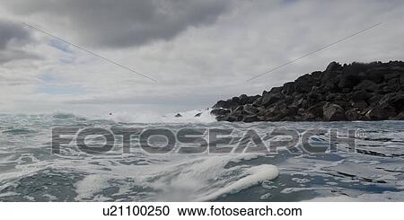 Waves in the Pacific Ocean, Playa Ochoa, San Cristobal Island, Galapagos Islands, Ecuador View Large Photo Image Stock Image - Waves in the Pacific Ocean, Playa Ochoa, San Cristobal Island, Galapagos Islands, Ecuador. Fotosearch