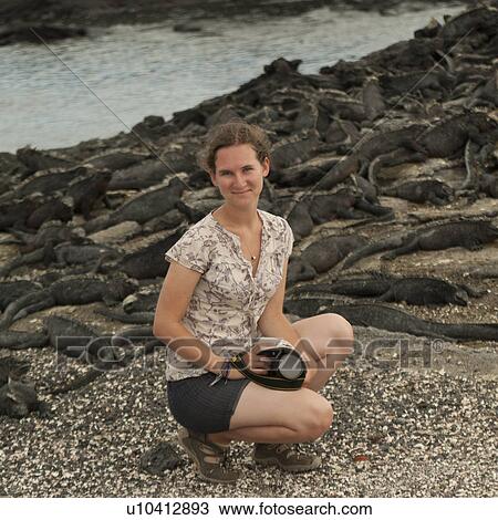 Woman crouching on a beach with Marine iguana (Amblyrhynchus cristatus) in the background, Punta Espinoza, Fernandina Island, Galapagos Islands, Ecuador View Large Photo Image Stock Image - Woman crouching on a beach with Marine iguana (Amblyrhynchus cristatus) in the background, Punta Espinoza, Fernandina Island, Galapagos Islands, Ecuador. Fotosearch