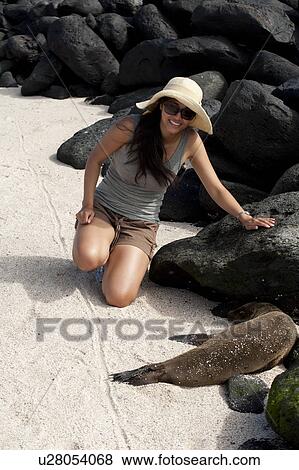 Stock Photo - Woman near a Galapagos sea lion (Zalophus californianus wollebacki), Punta Suarez, Espanola Island, Galapagos Islands, Ecuador. Fotosearch