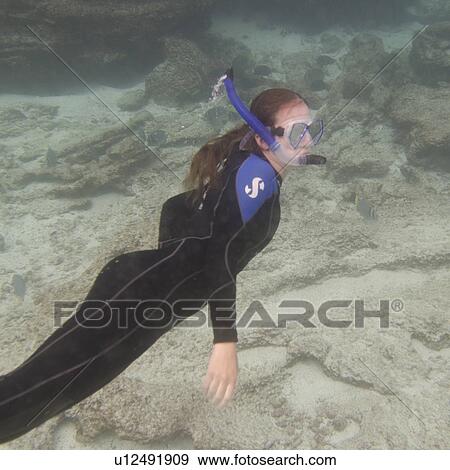 Stock Photo - Woman scuba diving underwater, Puerto Egas, Santiago Island, Galapagos Islands, Ecuador. Fotosearch
