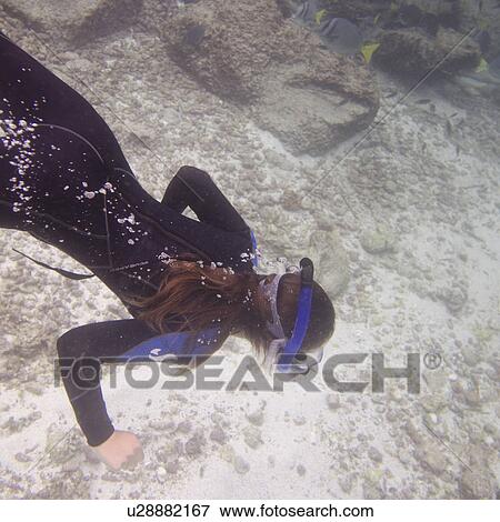 Woman scuba diving underwater, Puerto Egas, Santiago Island, Galapagos Islands, Ecuador View Large Photo Image Stock Photo - Woman scuba diving underwater, Puerto Egas, Santiago Island, Galapagos Islands, Ecuador. Fotosearch