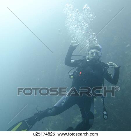 Woman scuba diving underwater, San Cristobal Island, Galapagos Islands, Ecuador View Large Photo Image Stock Photography - Woman scuba diving underwater, San Cristobal Island, Galapagos Islands, Ecuador. Fotosearch