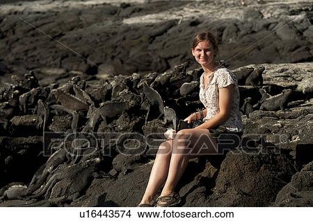 Picture - Woman sitting on the beach near Marine iguanas (Amblyrhynchus cristatus), Punta Espinoza, Fernandina Island, Galapagos Islands, Ecuador. Fotosearch