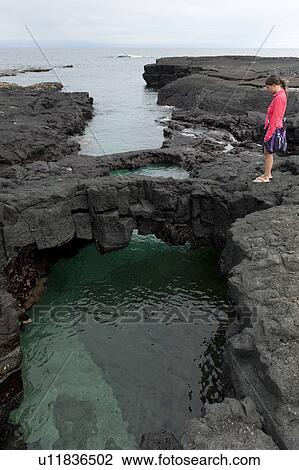 Stock Image - Woman standing on a rock, Puerto Egas, Santiago Island, Galapagos Islands, Ecuador. Fotosearch