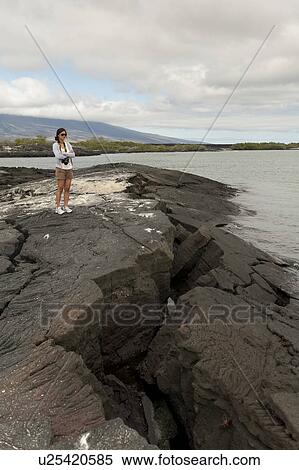Stock Photography - Woman standing on volcanic rock on the coast, Punta Espinoza, Fernandina Island, Galapagos Islands, Ecuador. Fotosearch